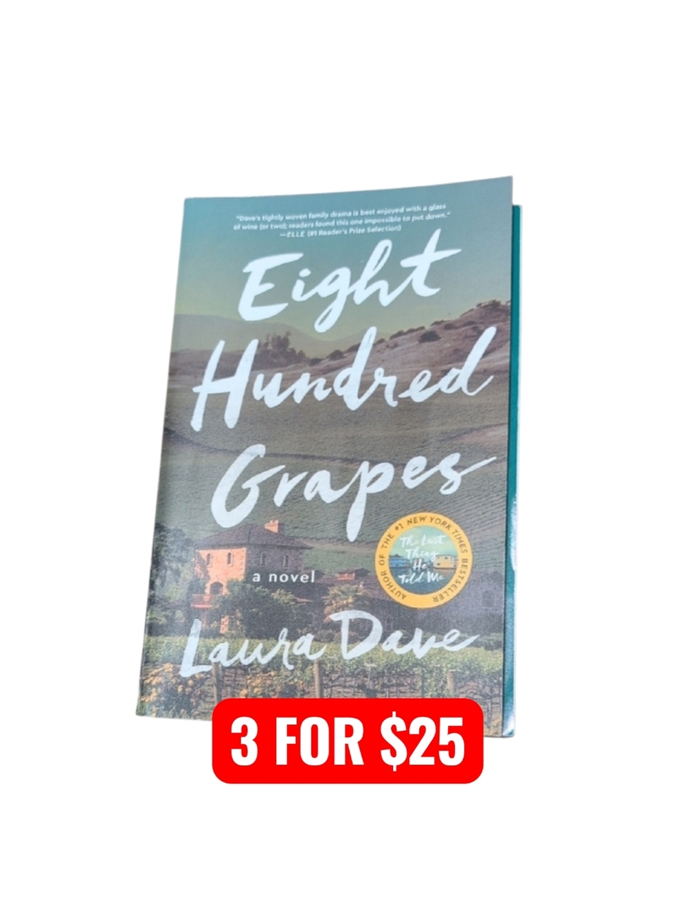 Eight Hundred Grapes by Laura Dave Paperback